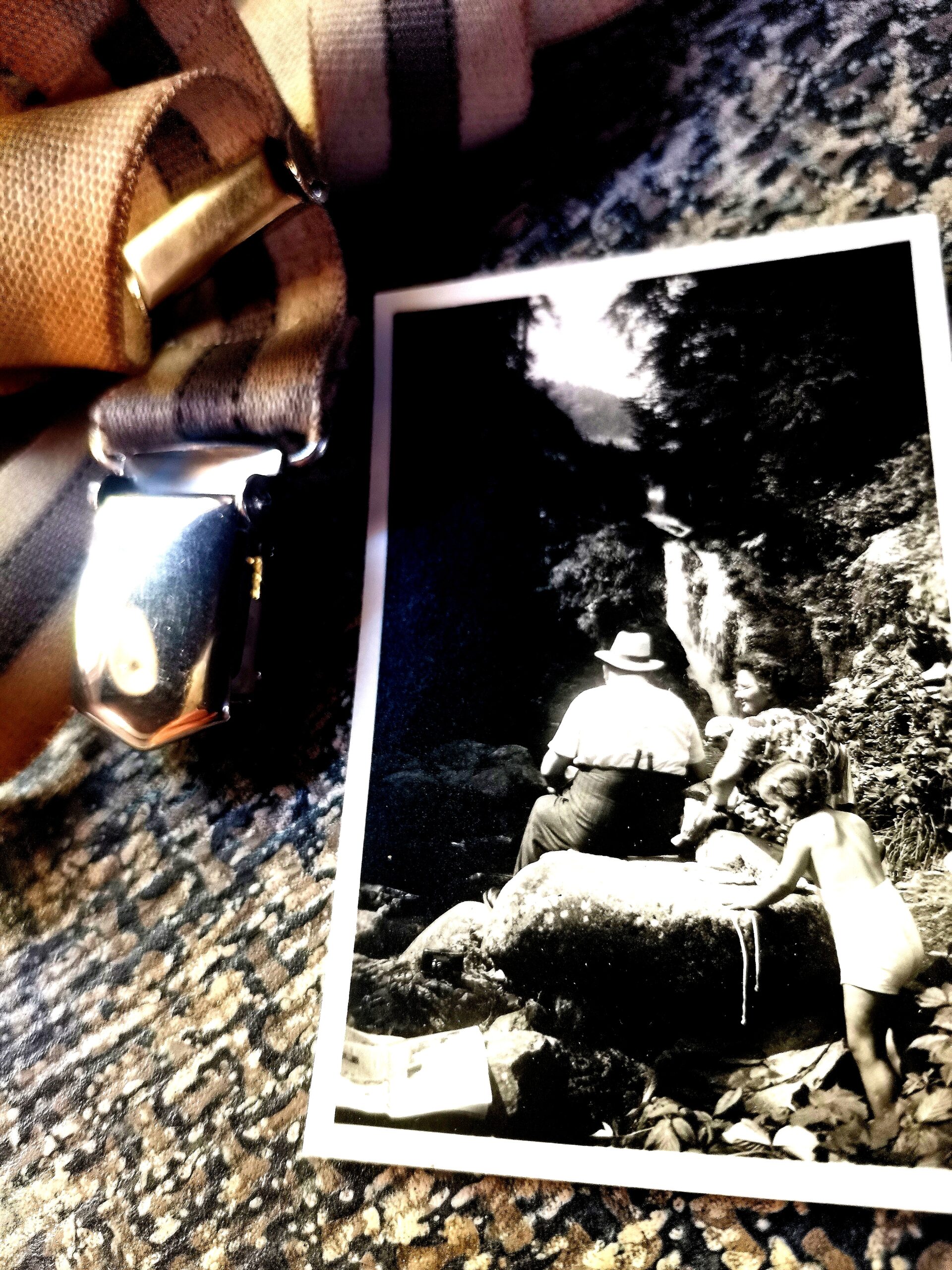 014 Annette Harms
